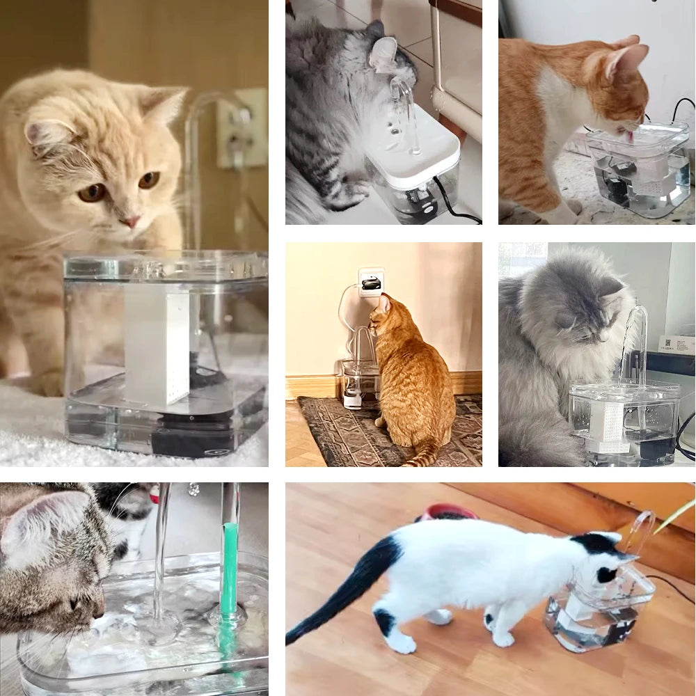 Fontaine à eau pour animaux - Hydratation parfaite
