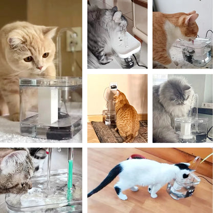 Fontaine à eau pour animaux - Hydratation parfaite