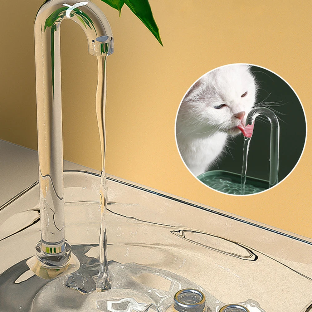 Fontaine à eau pour animaux - Hydratation parfaite